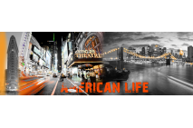 American Life in Lights