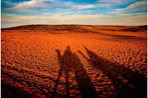 Shadows on the Sahara